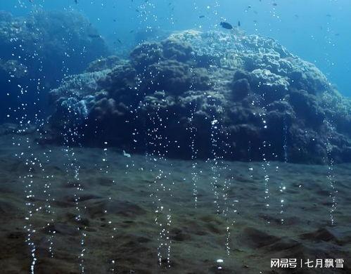 海洋深处全集在线观看,探寻深海奥秘的惊险之旅 第2张 海洋深处全集在线观看,探寻深海奥秘的惊险之旅 第2张