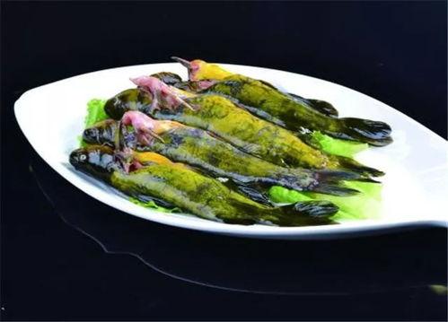 安庆鱼小姐最新爆料,揭秘娱乐圈惊人内幕 第3张 安庆鱼小姐最新爆料,揭秘娱乐圈惊人内幕 第3张